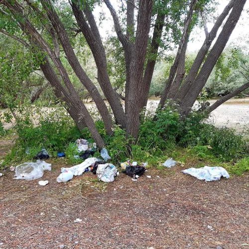 بی توجهی برخی گردشگران و ریختن زباله در حاشیه دریاچه گهر